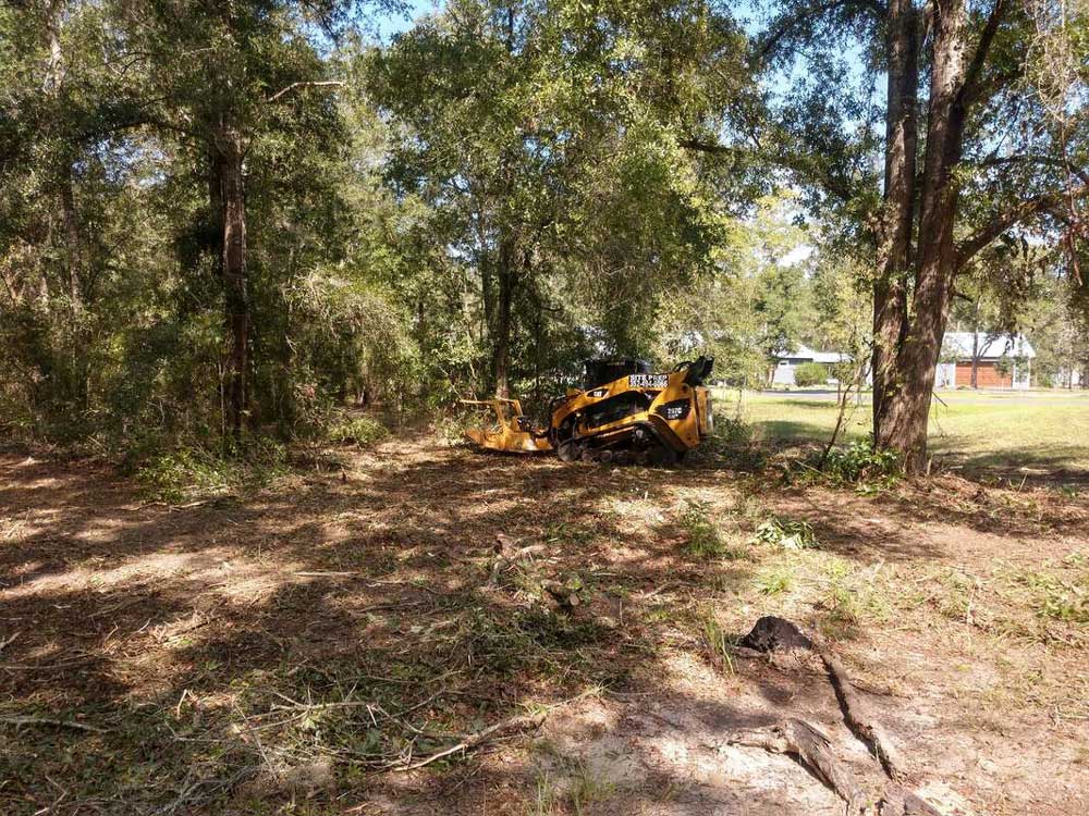 Clearing Trees